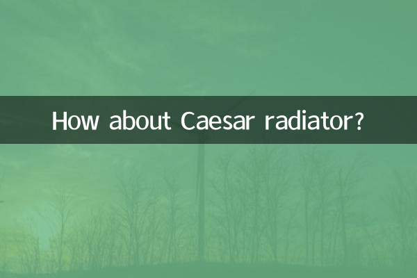 凯撒暖气片怎么样