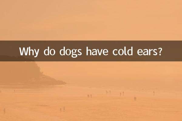 কেন কুকুর ঠান্ডা কান আছে?