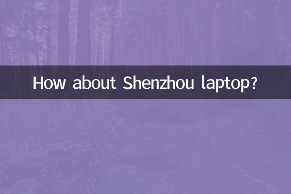 Que tal o laptop Shenzhou?