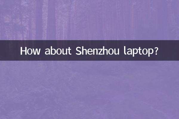 Shenzhou ল্যাপটপ সম্পর্কে কিভাবে?