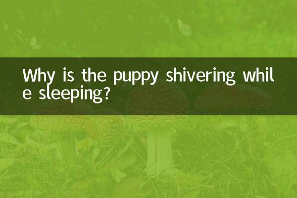Pourquoi le chiot frissonne-t-il pendant son sommeil ?