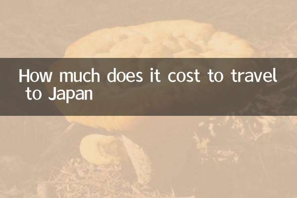 جاپان کا سفر کرنے میں کتنا خرچ آتا ہے