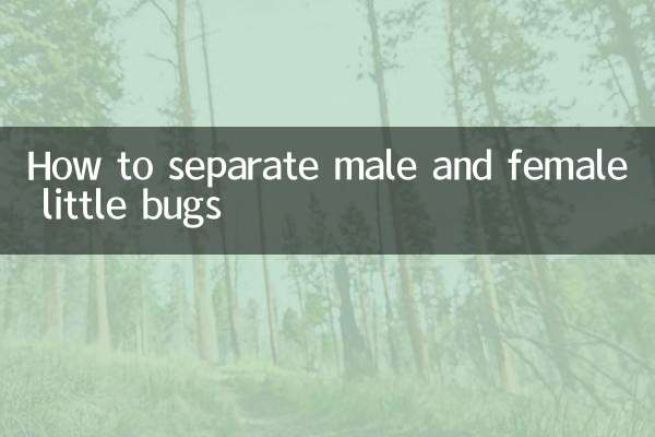 Cómo separar los bichitos machos y hembras
