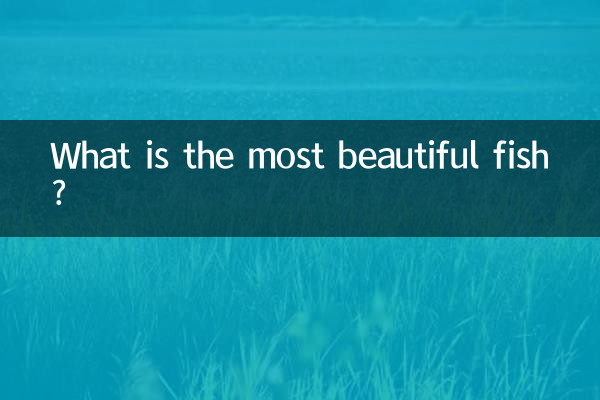सबसे सुंदर मछली कौन सी है?