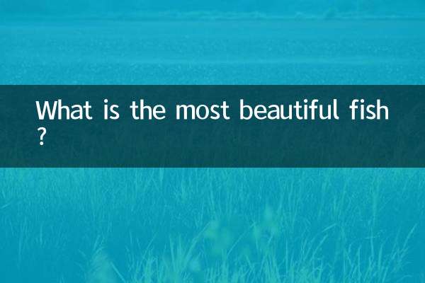 Qual è il pesce più bello?