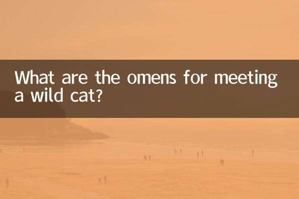 Was sind die Vorzeichen für die Begegnung mit einer Wildkatze?