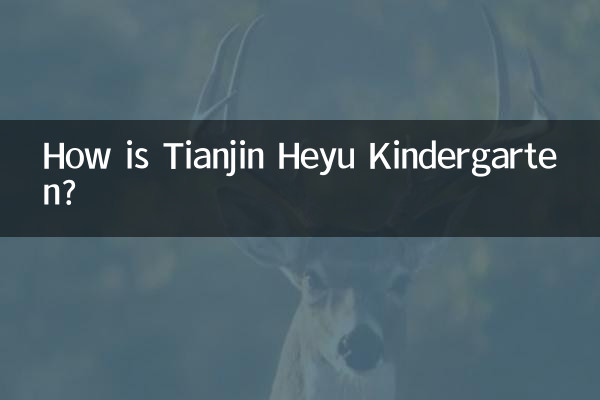 天津禾雨幼儿园怎么样