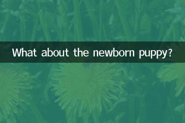 刚出生的小狗怎么