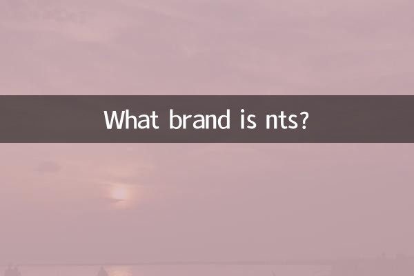 ¿Qué marca es nts?