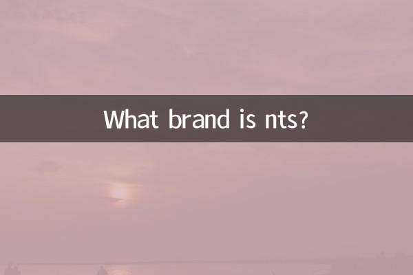 ¿Qué marca es nts?