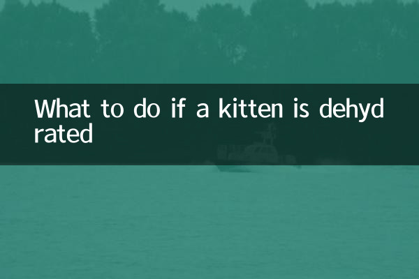 Qué hacer si un gatito está deshidratado