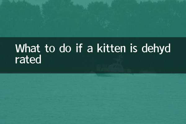 Qué hacer si un gatito está deshidratado