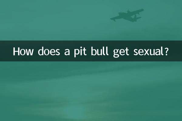 Como um pit bull se torna sexual?