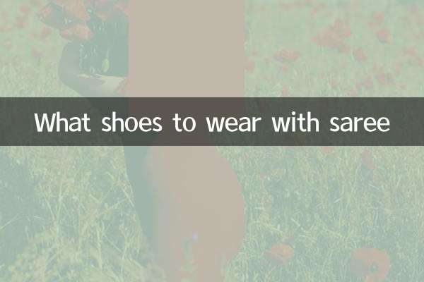 纱丽配什么鞋子