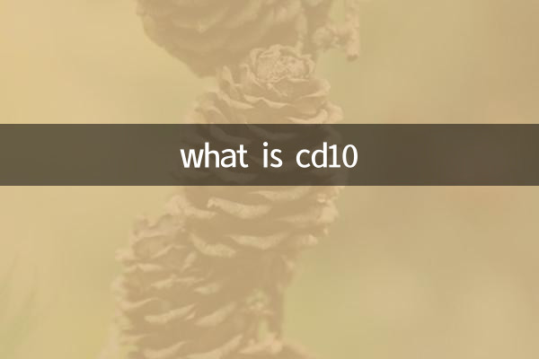 what is cd10