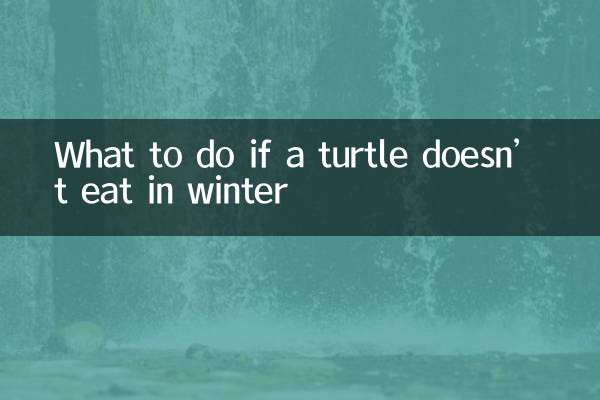 اگر کوئی کچھی سردیوں میں نہیں کھاتا ہے تو کیا کریں