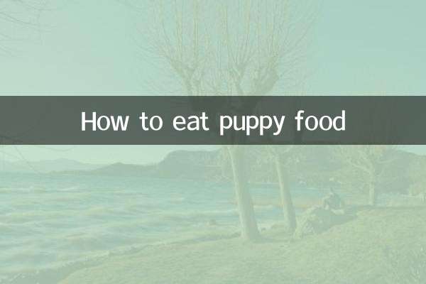 How to eat puppy food