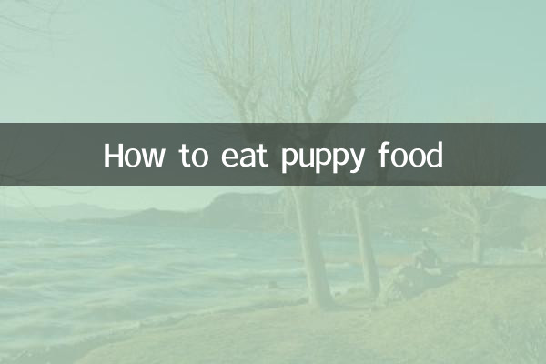 How to eat puppy food