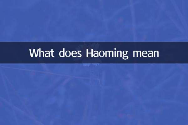 Haoming은 무엇을 의미합니까?