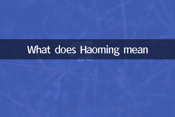ماذا يعني haoming