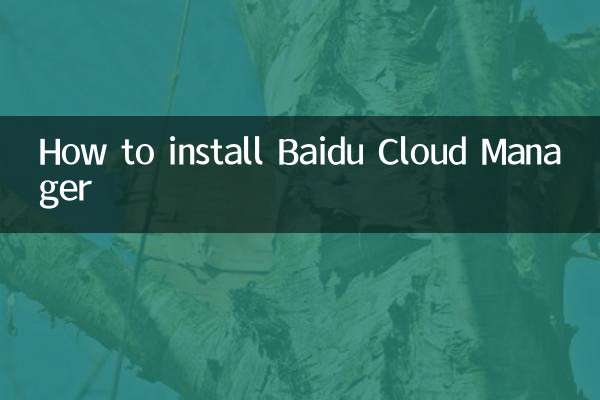 Baidu Cloud Manager를 설치하는 방법