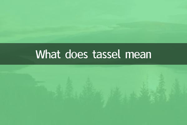 タッセルとはどういう意味ですか？