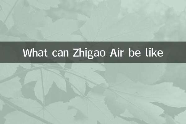 Cosa può fare Chigo Air?