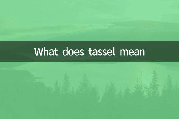 टैसेल का क्या मतलब है?