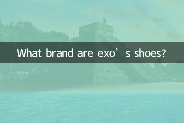 엑소 신발은 어느 브랜드인가요?
