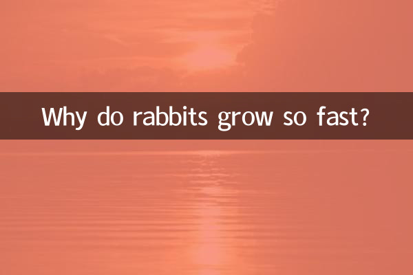 Why do rabbits grow so fast?