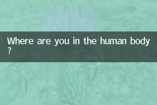 Where are you in the human body?