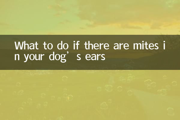 What to do if there are mites in your dog’s ears