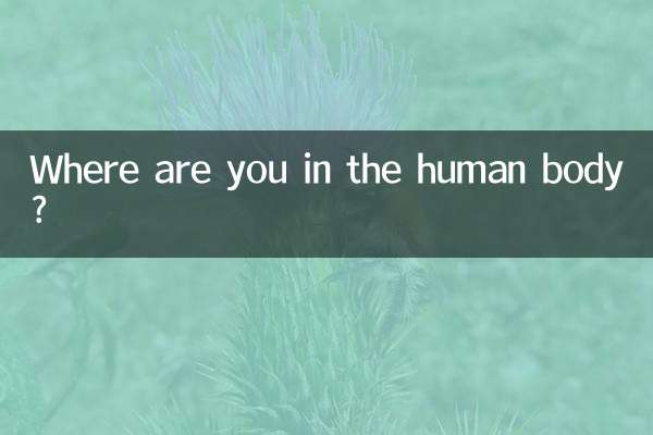 Onde você está no corpo humano?