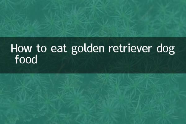 金毛的狗糧怎麼吃