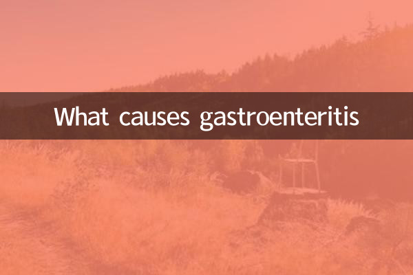 What causes gastroenteritis