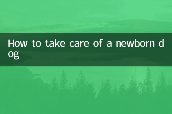 Как ухаживать за новорожденной собакой