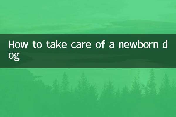 نوزائیدہ کتے کی دیکھ بھال کیسے کریں