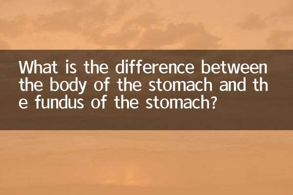 पेट के शरीर और पेट के कोष के बीच क्या अंतर है?