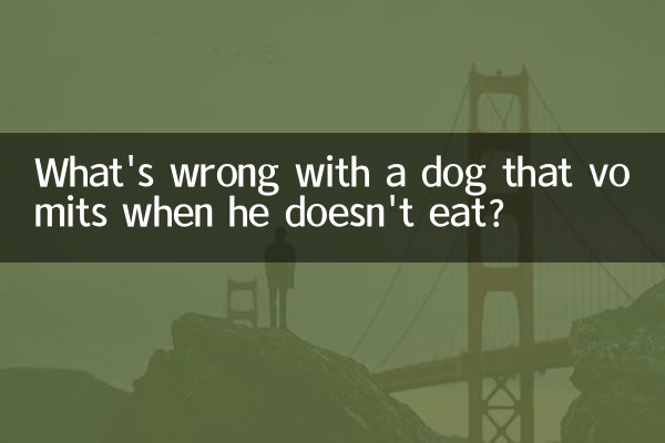 Was ist daran falsch, dass ein Hund erbricht, wenn er nichts frisst?