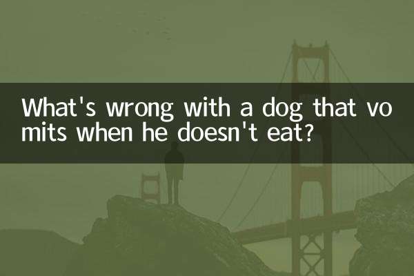 犬がご飯を食べないと嘔吐するのは何が問題なのでしょうか？