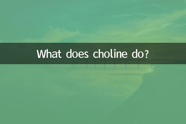 膽鹼有什麼作用