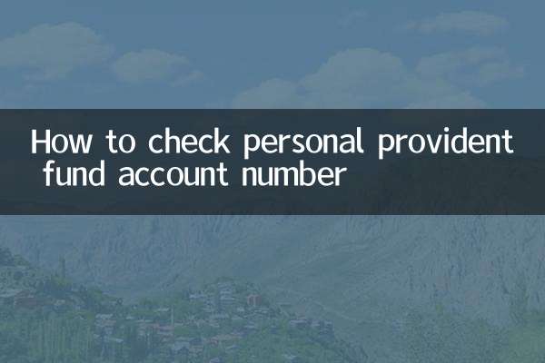 ব্যক্তিগত ভবিষ্য তহবিল অ্যাকাউন্ট নম্বর কিভাবে চেক করবেন