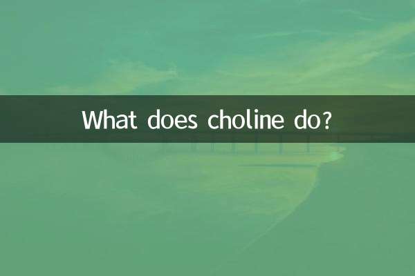 کولین کیا کرتی ہے؟