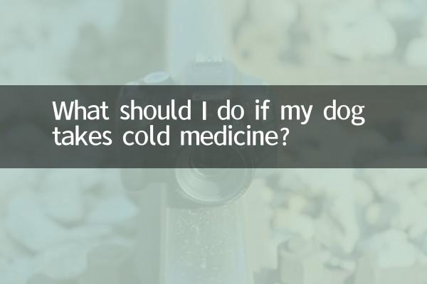 犬が風邪薬を飲んだ場合はどうすればよいですか?