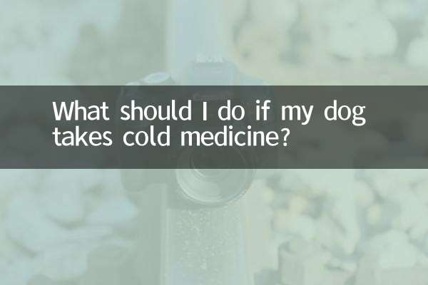 यदि मेरा कुत्ता सर्दी की दवा लेता है तो मुझे क्या करना चाहिए?