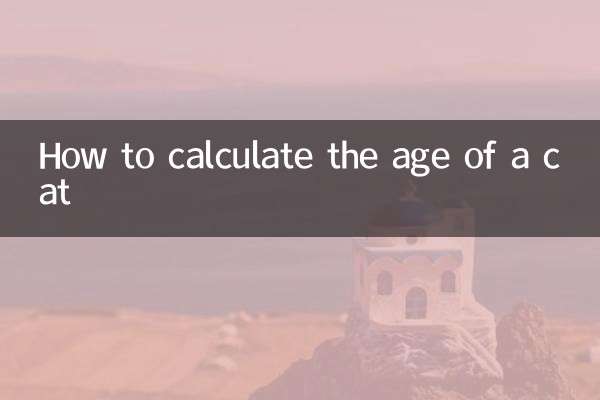 貓咪怎麼算年齡