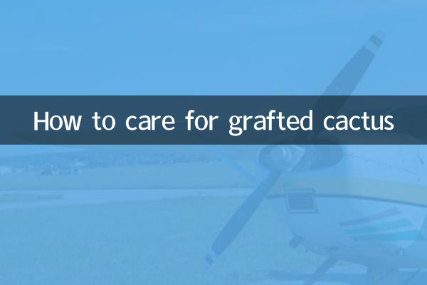 Как ухаживать за привитым кактусом