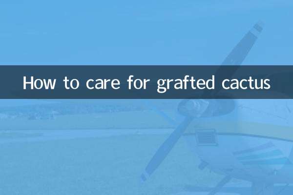 Comment prendre soin d'un cactus greffé