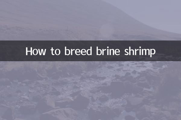 How to breed brine shrimp