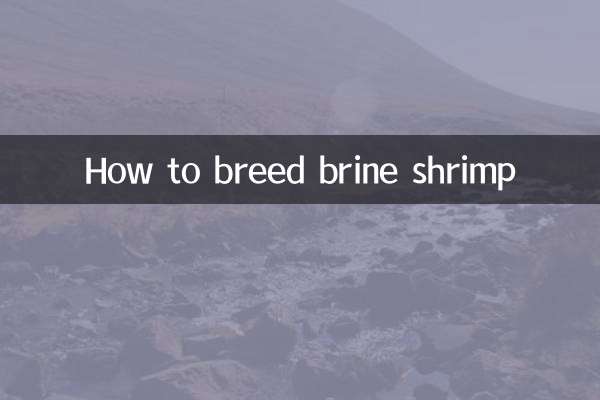 How to breed brine shrimp